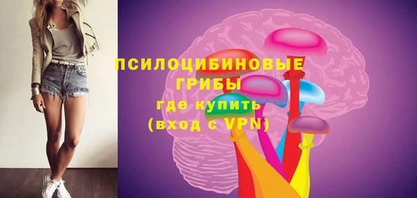 соль ск Алексин
